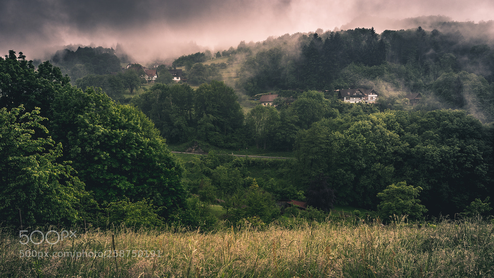 Sony a7 II sample photo. Sasbachwalden im nebel photography