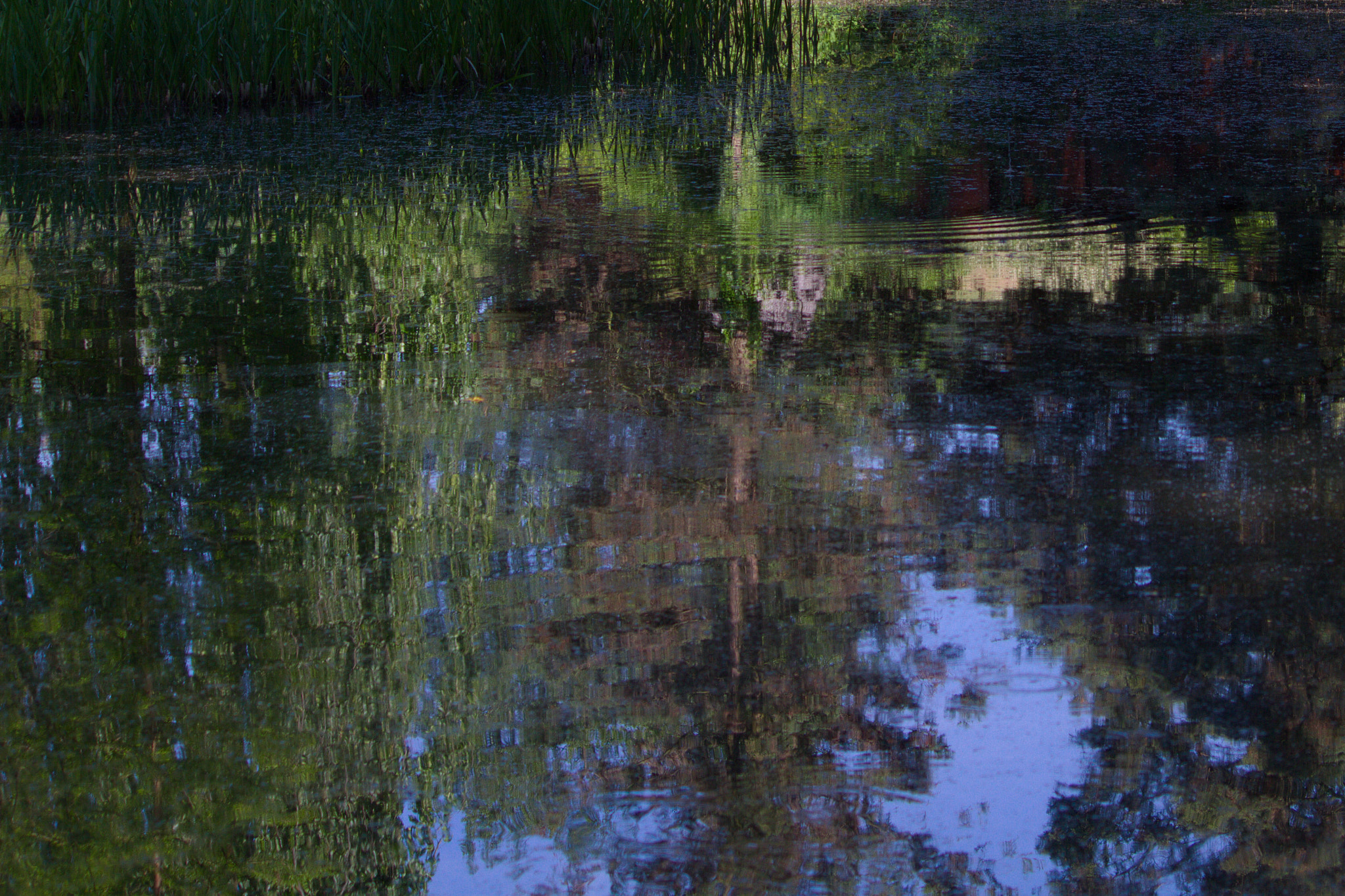 Canon EF-S 55-250mm F4-5.6 IS II sample photo. Reflection... photography