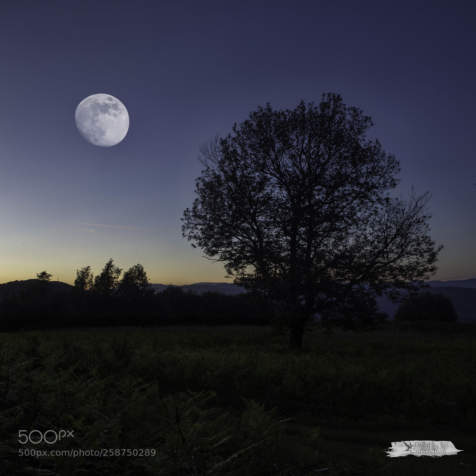 Canon EOS 6D sample photo. Discover bierzo photography