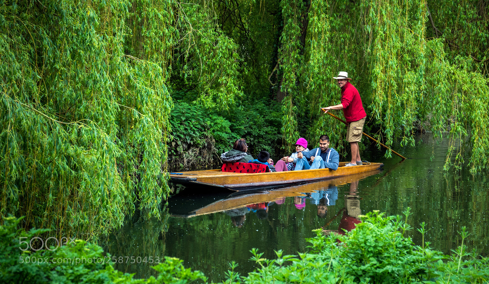 Nikon D7200 sample photo. The punt photography