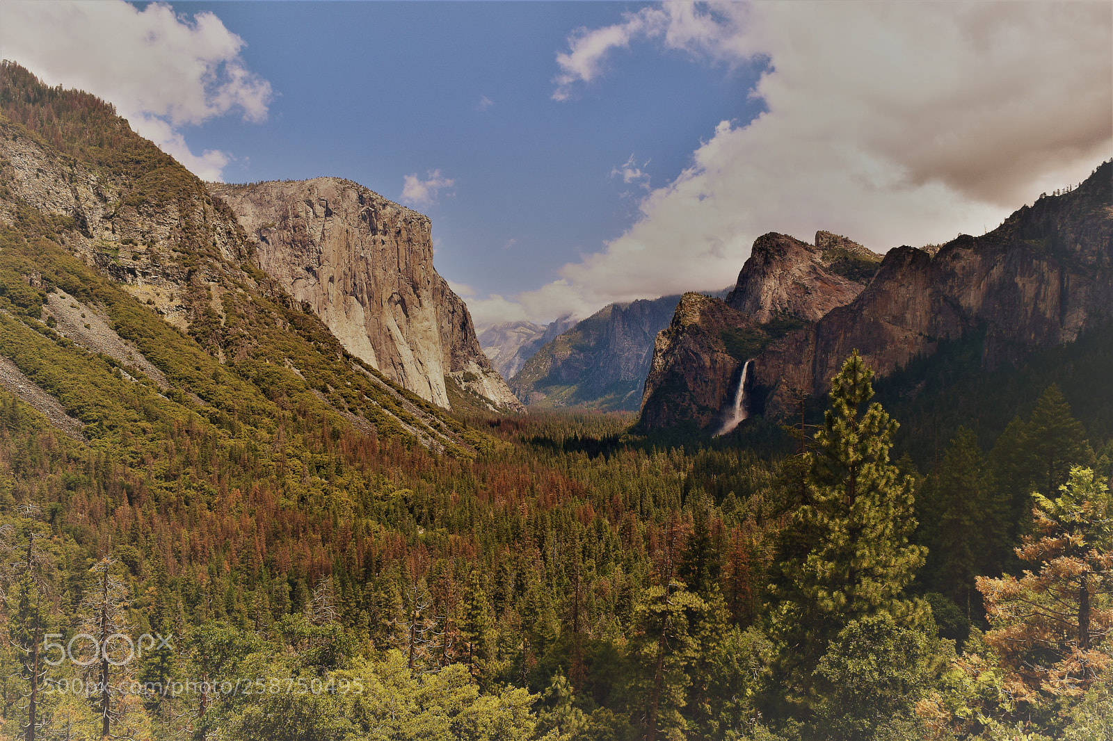 Nikon D3300 sample photo. Tunnel view - yosemite photography