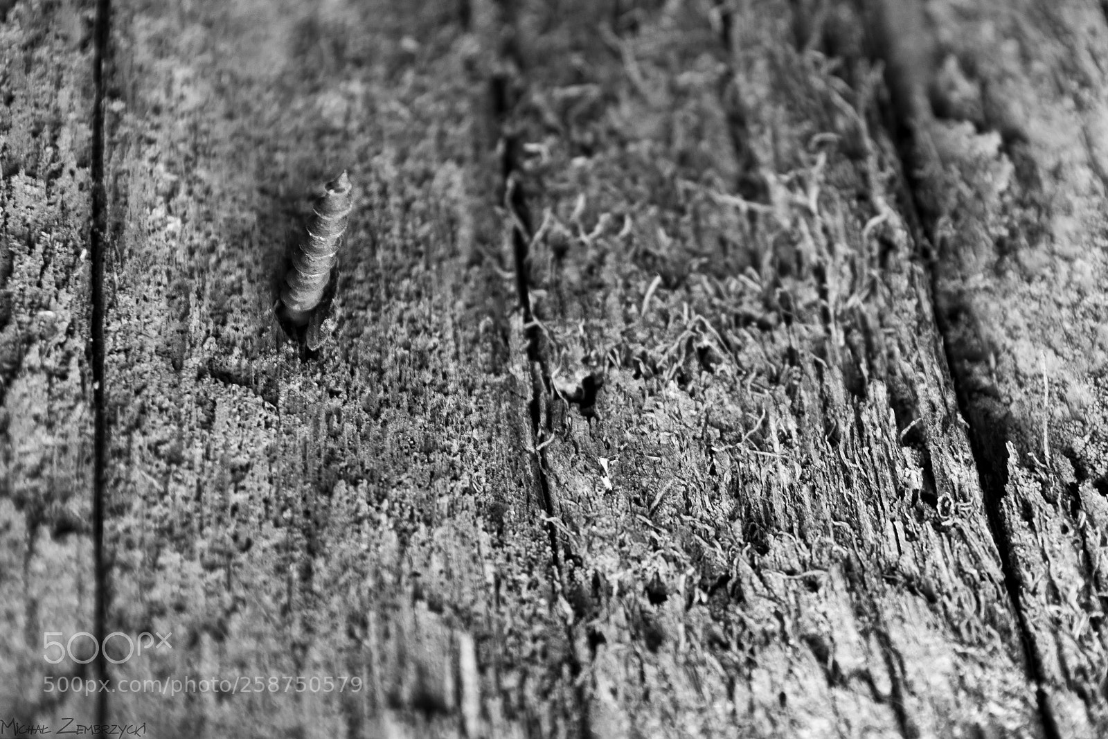 Nikon D7200 sample photo. Untitled photography