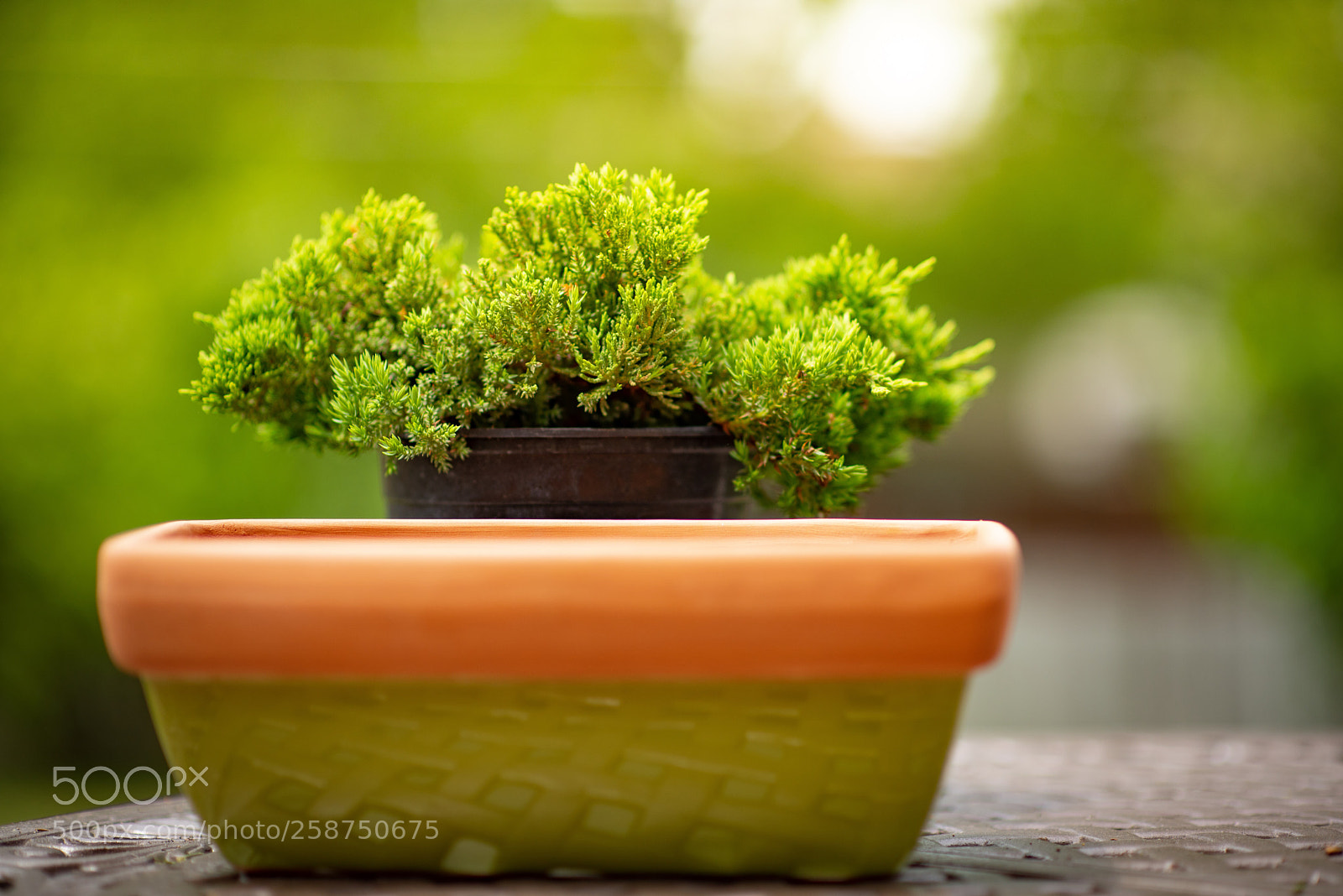 Nikon D750 sample photo. Untitled photography