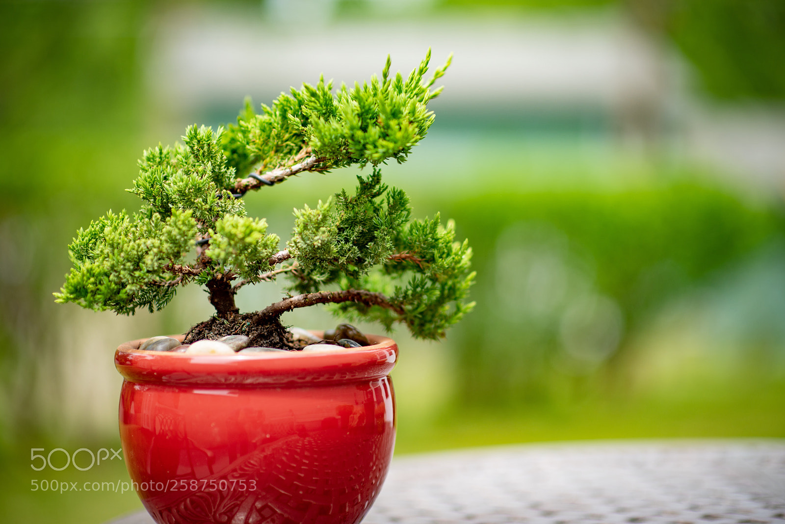 Nikon D750 sample photo. Untitled photography