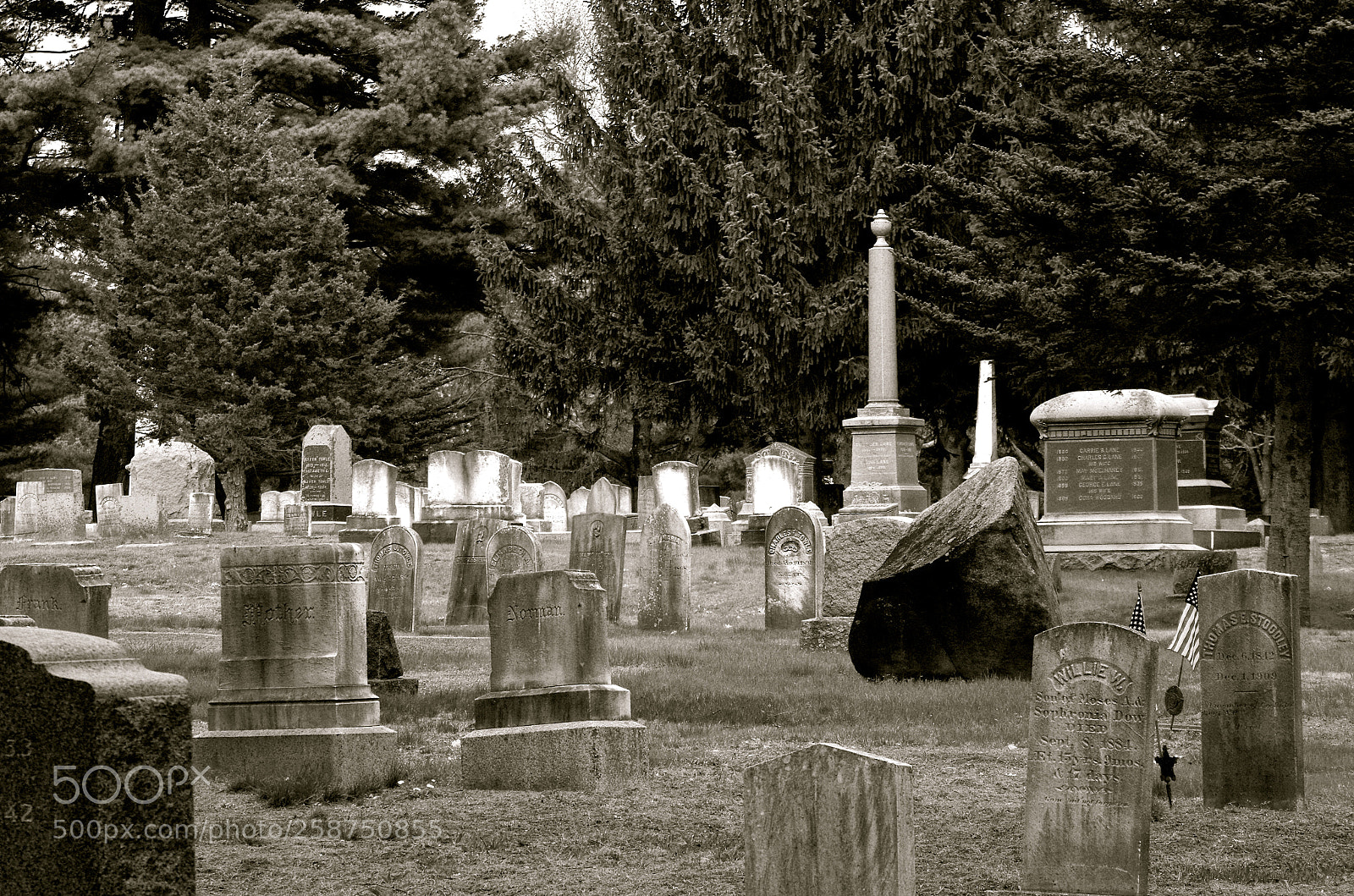 Pentax K-50 sample photo. Monochrome cemetery photography