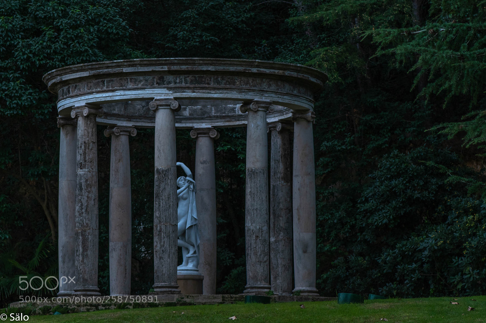 Nikon D5500 sample photo. Entre columnas photography