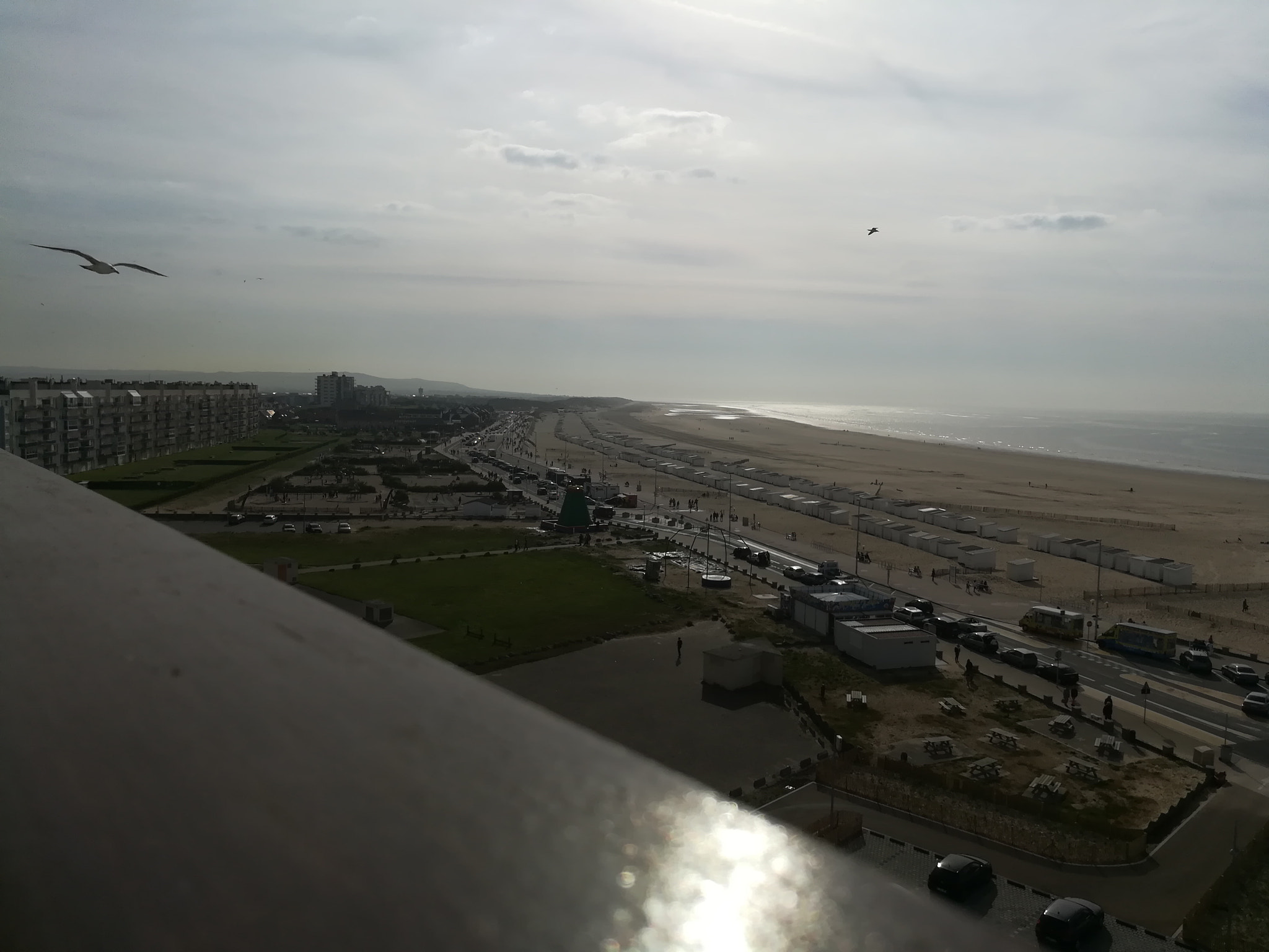 HUAWEI honor 6x sample photo