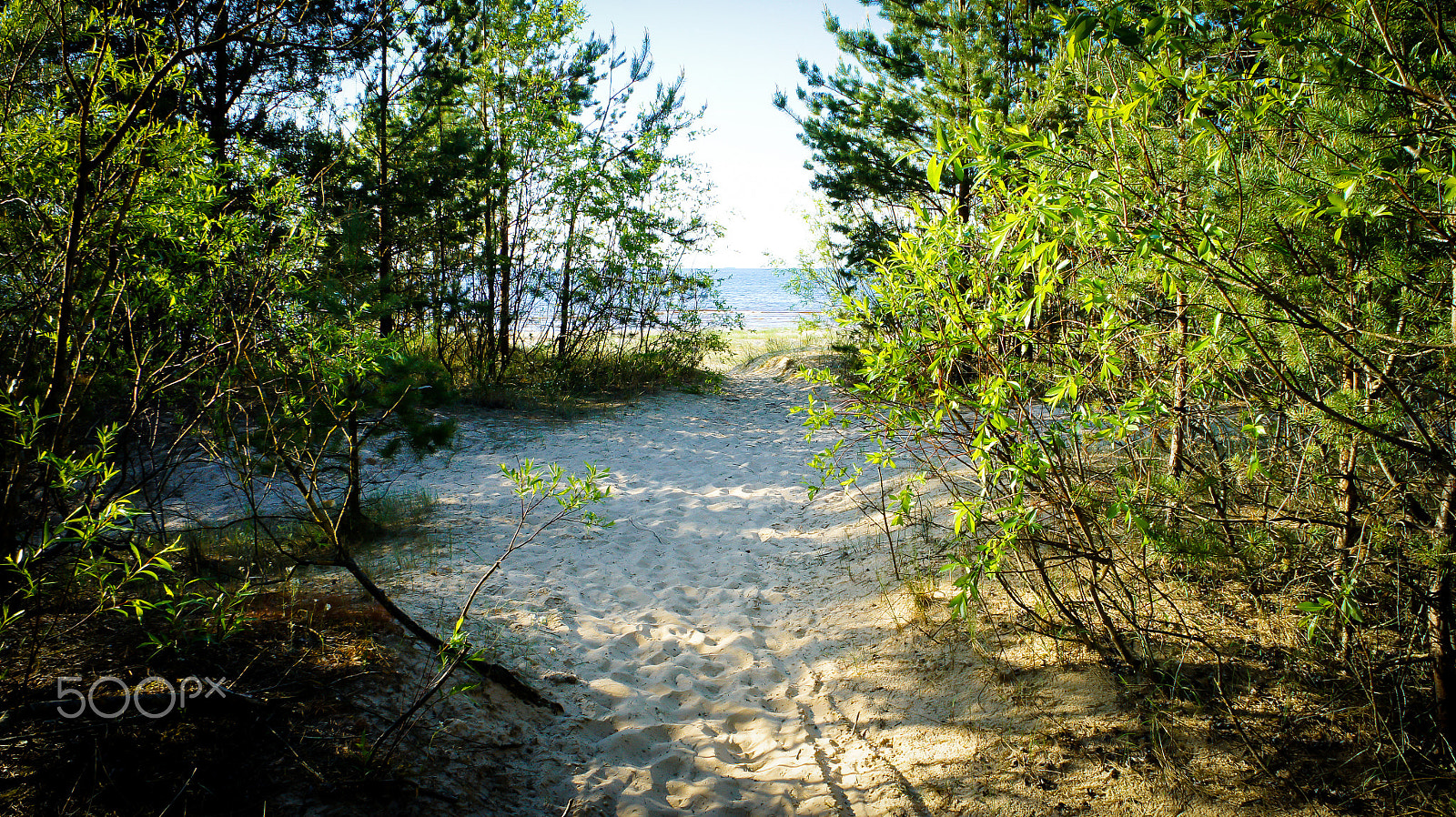 Sony Alpha NEX-5 sample photo. Exit to the sea photography