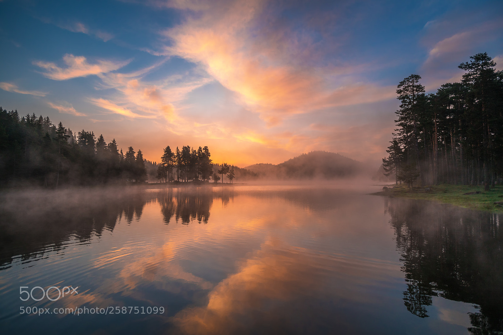Canon EOS 5D Mark IV sample photo. Morning fog on the photography