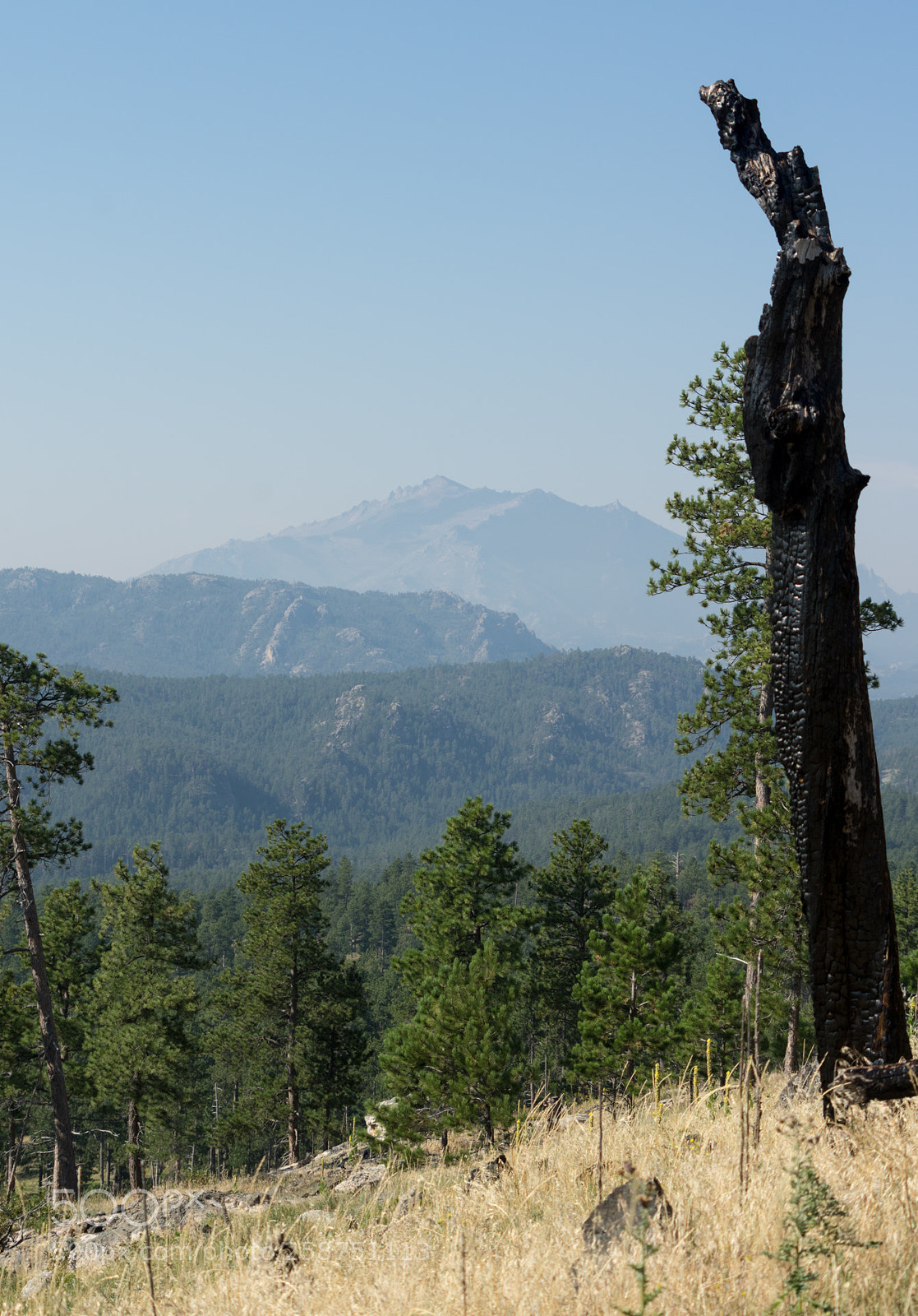 Pentax K-3 sample photo. Wyoming photography