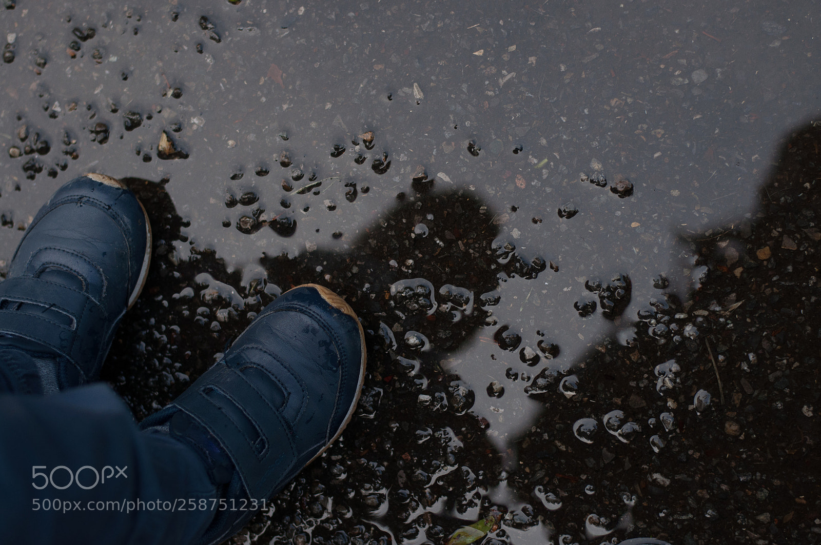 Nikon D90 sample photo. The puddle photography