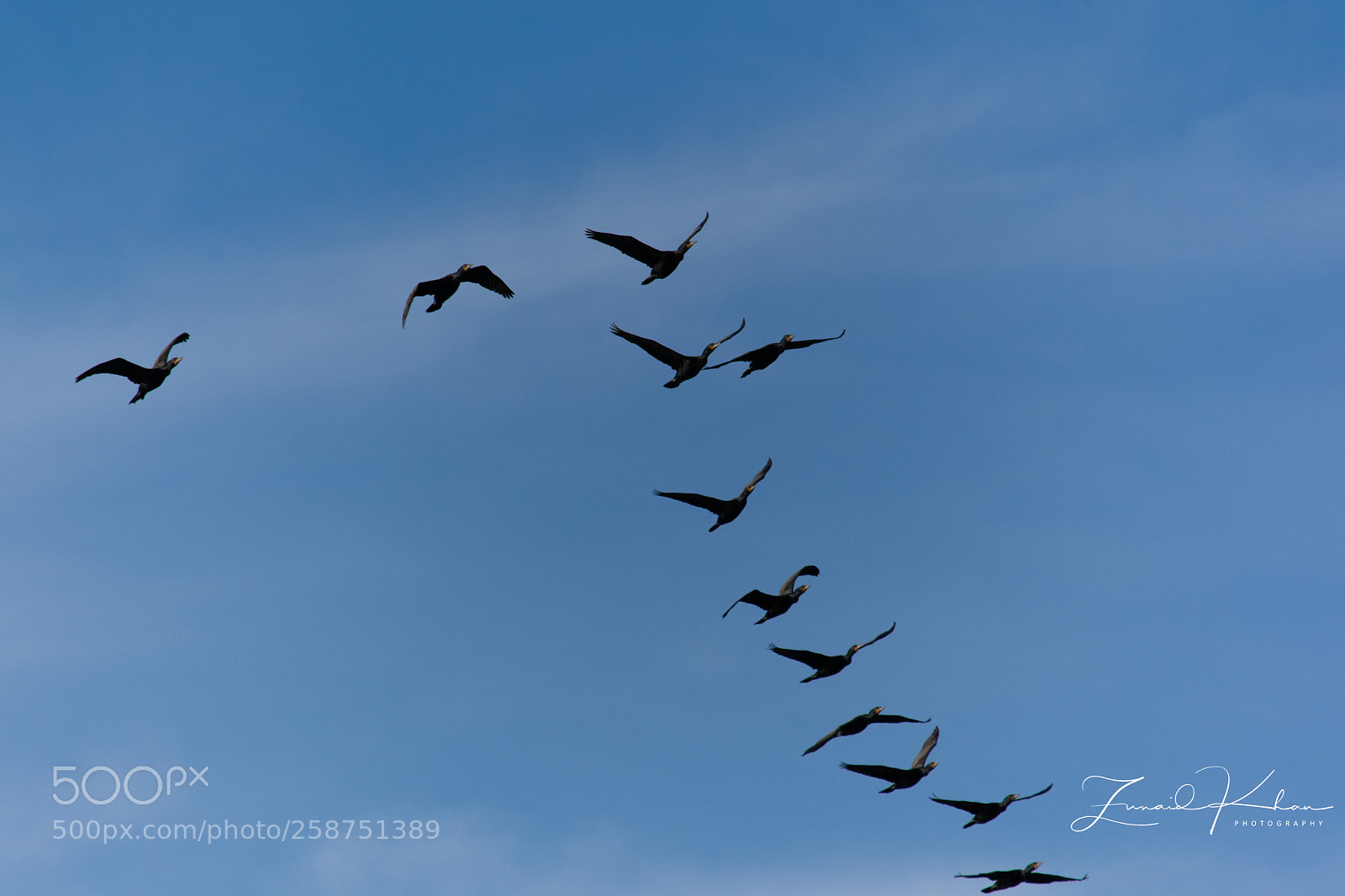 Nikon D3400 sample photo. Climbing formation  photography