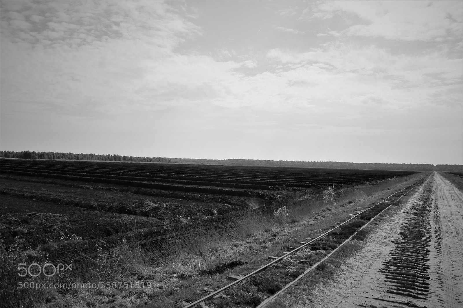 Canon EOS 6D sample photo. Train to nowhere? photography