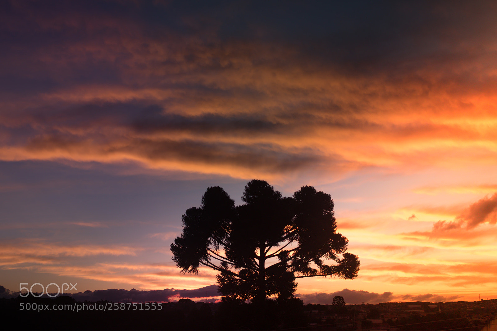 Nikon D5600 sample photo. Por do sol e photography