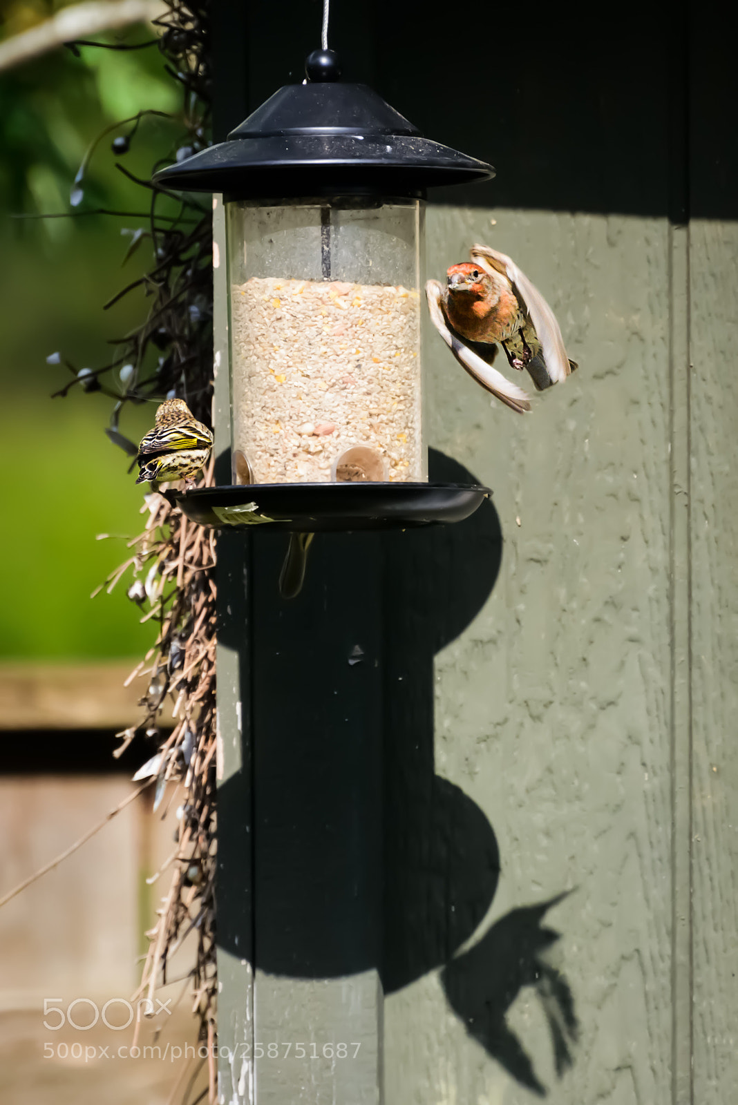 Nikon D800 sample photo. I'm outta here photography