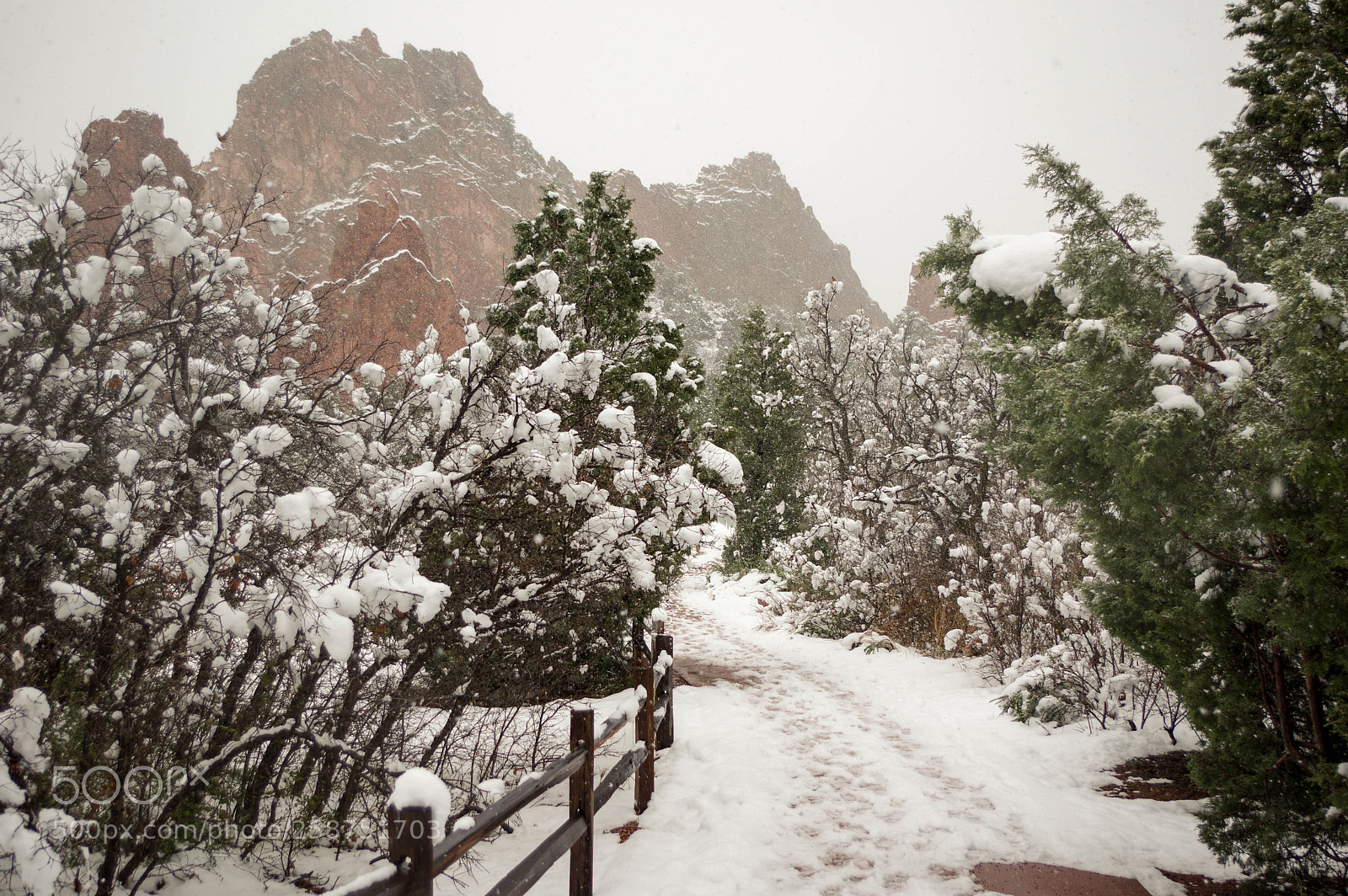 Pentax K-3 sample photo. Garden of the gods photography