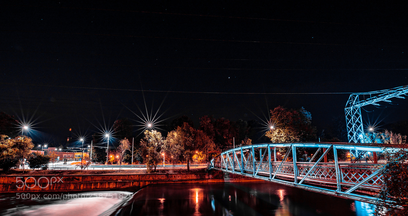 Nikon D610 sample photo. Bridge photography