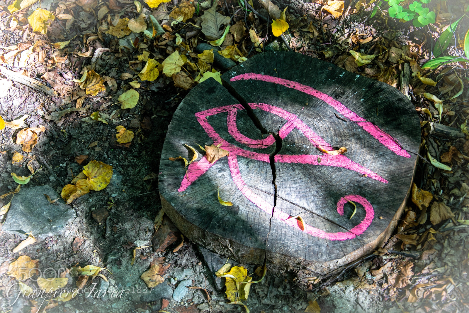 Nikon D5300 sample photo. Occhio di ra photography