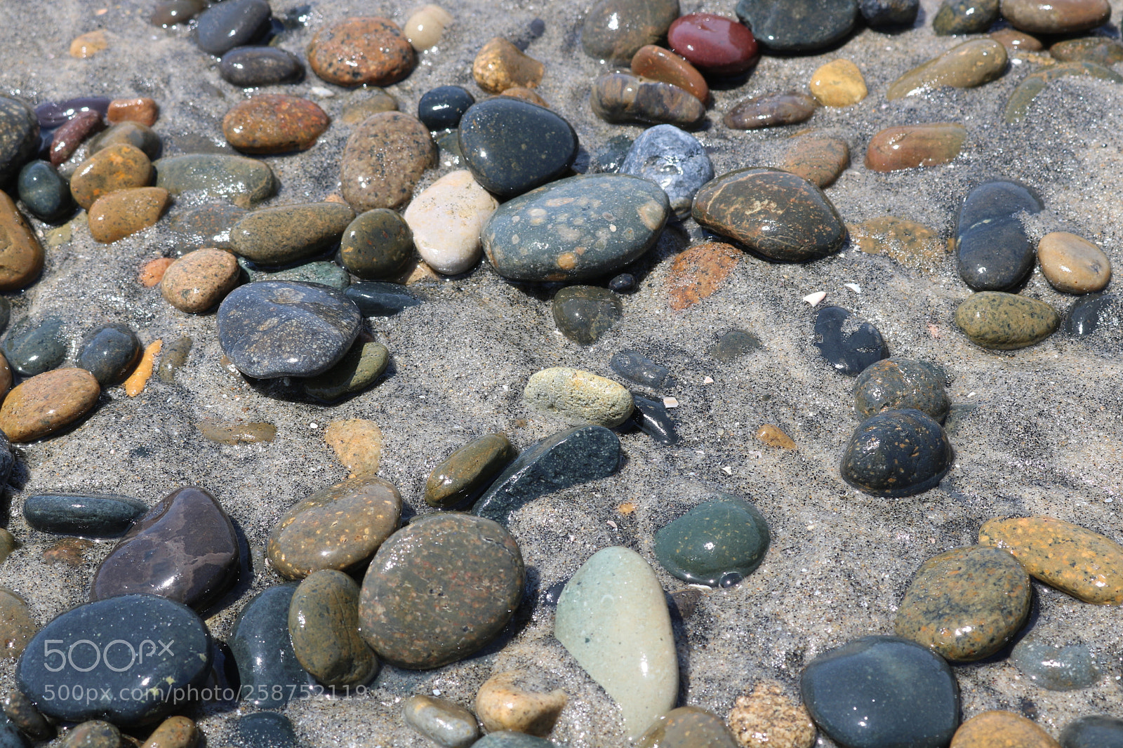 Canon EOS 750D (EOS Rebel T6i / EOS Kiss X8i) sample photo. Encinitas california sea shore photography