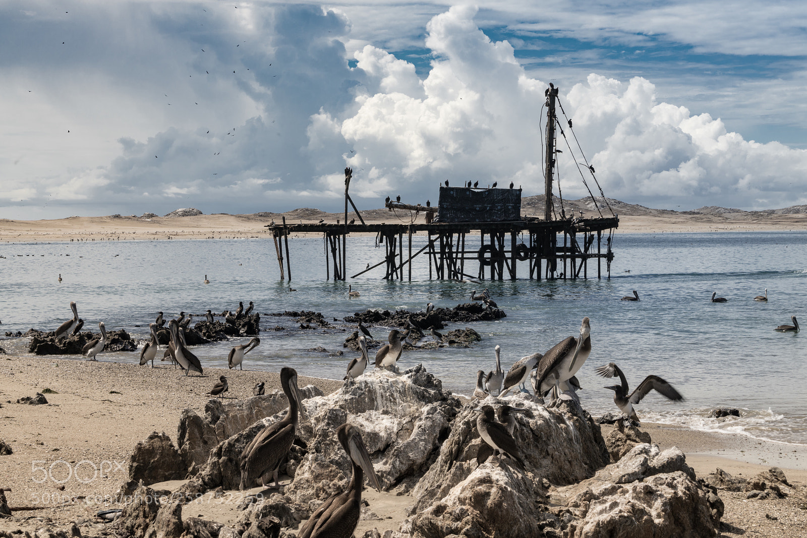 Sony a7R II sample photo. Isla lobos de tierra photography