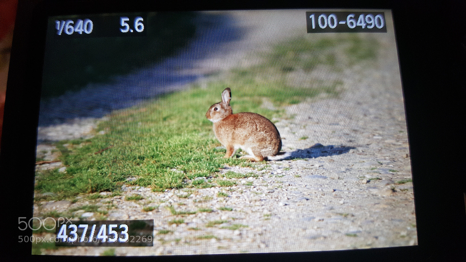 Samsung Galaxy S6 sample photo. Untitled photography