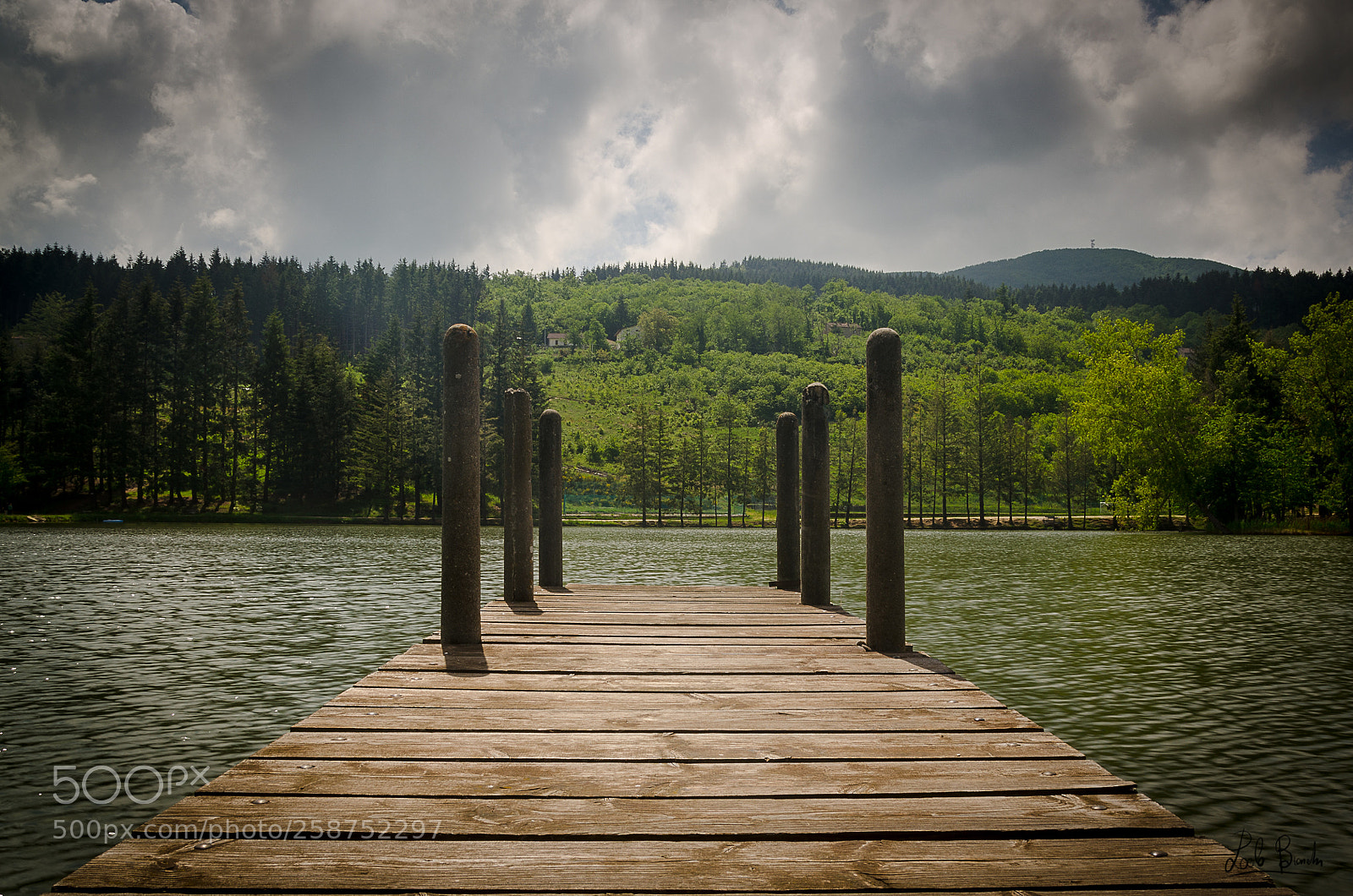 Nikon D5100 sample photo. Pontile acquapartita photography