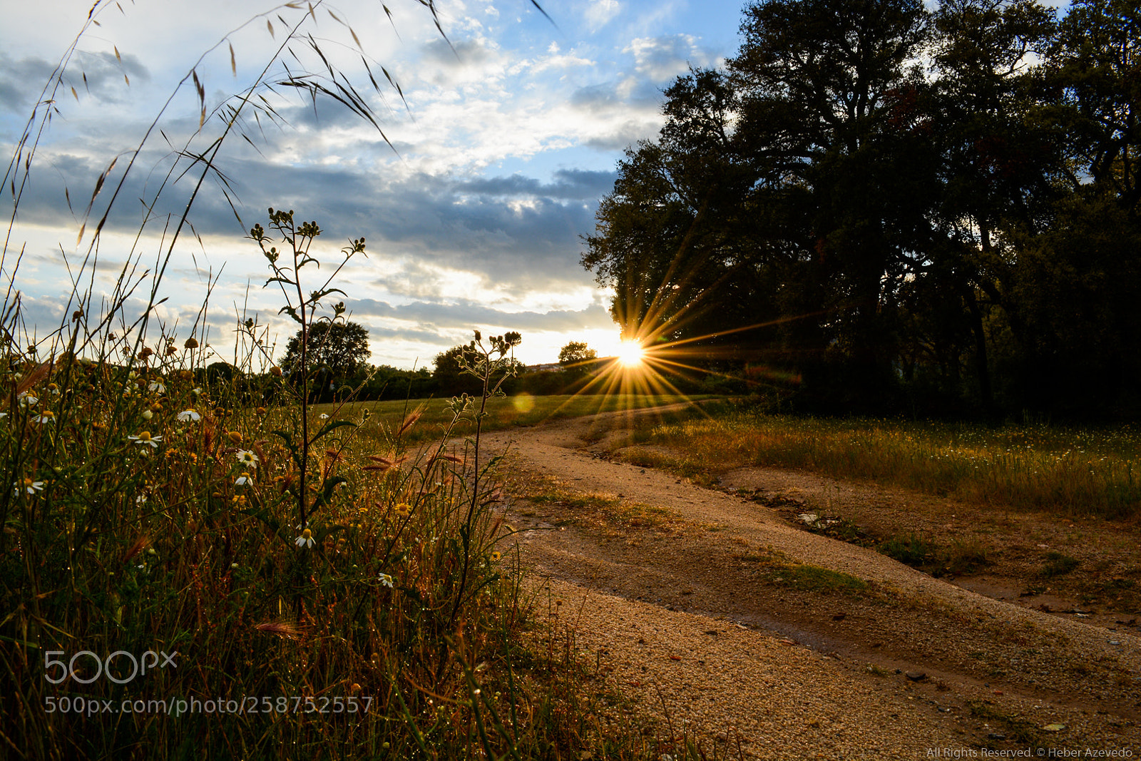Nikon D7100 sample photo. N/t photography