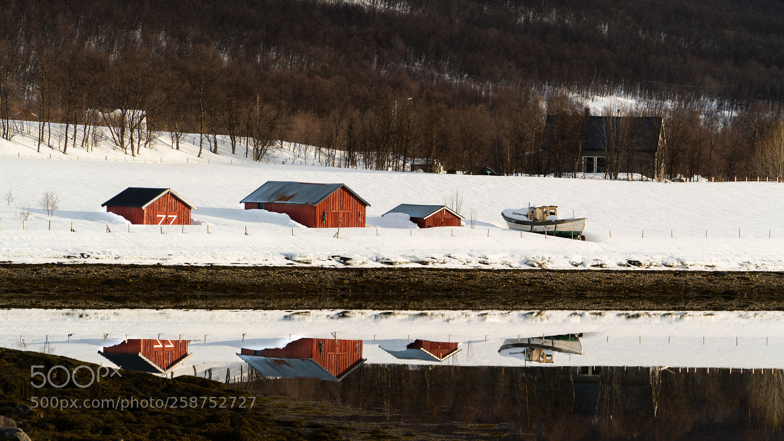 Sony a7R II sample photo. Reflections photography