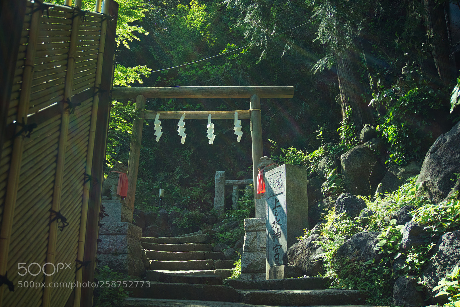 Sony a6000 sample photo. Kamakura shrine photography