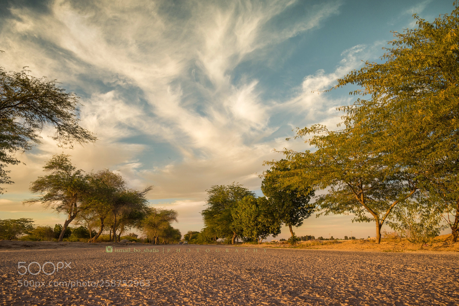 Nikon D610 sample photo. مشروع حجز الرمال بالأحساء photography