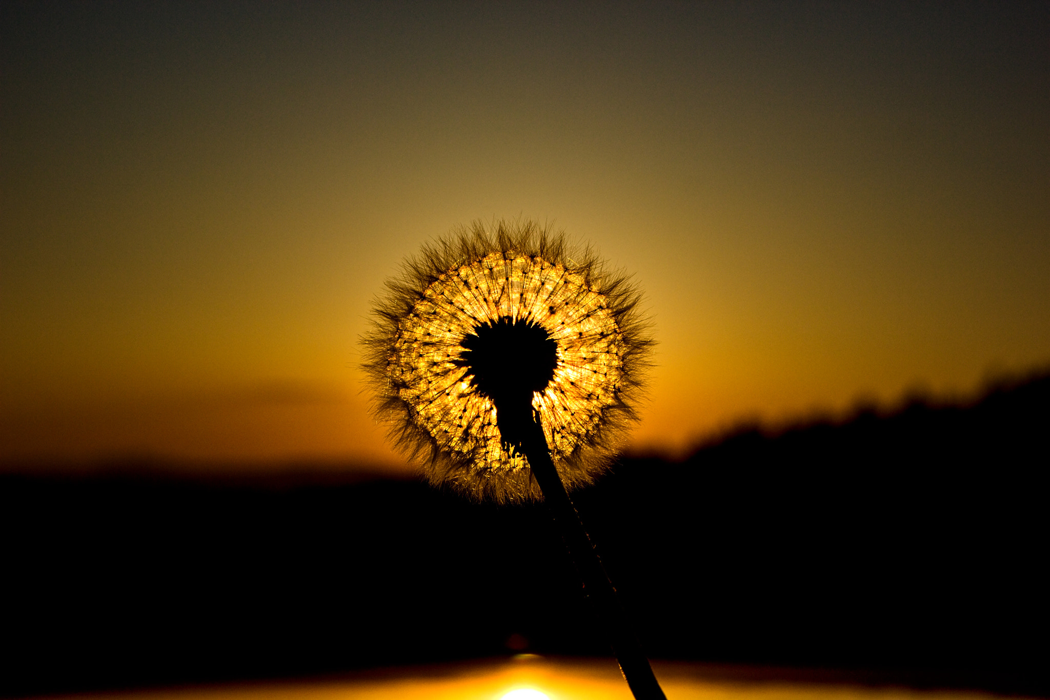 Canon EOS 600D (Rebel EOS T3i / EOS Kiss X5) + Canon EF-S 17-55mm F2.8 IS USM sample photo. Sundown :-) photography