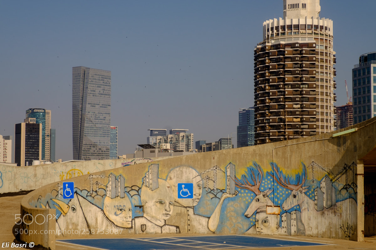 Fujifilm X-T1 sample photo. -- photography