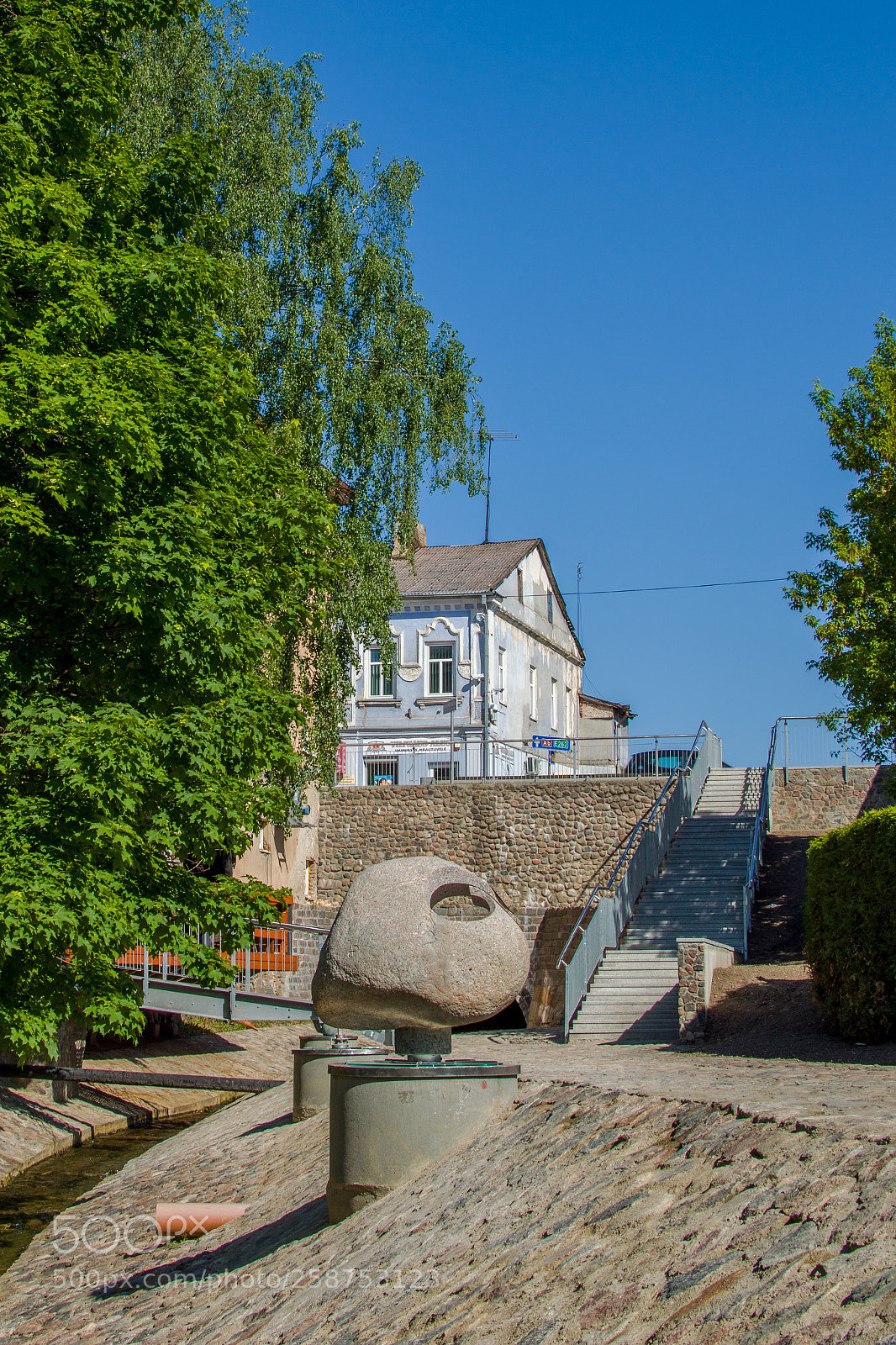 Nikon D3200 sample photo. Shaded by the green photography