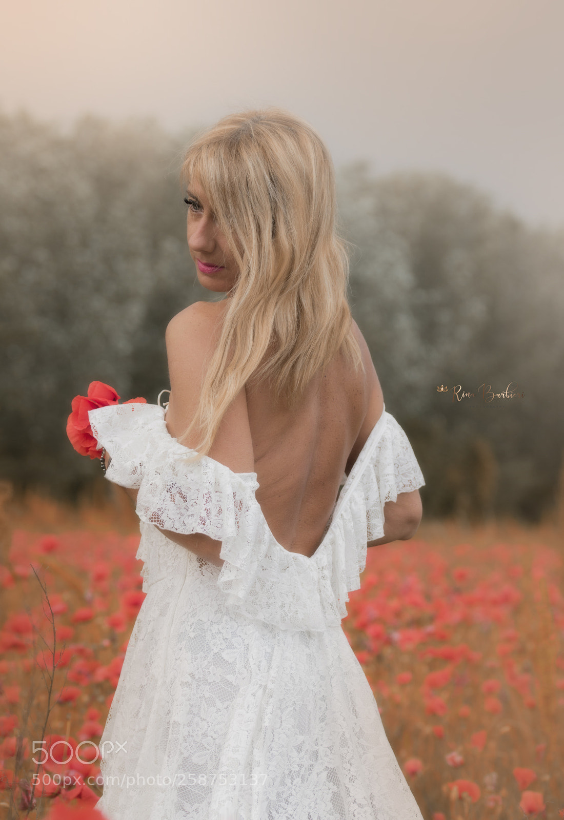 Canon EOS 750D (EOS Rebel T6i / EOS Kiss X8i) sample photo. Sensual red photography