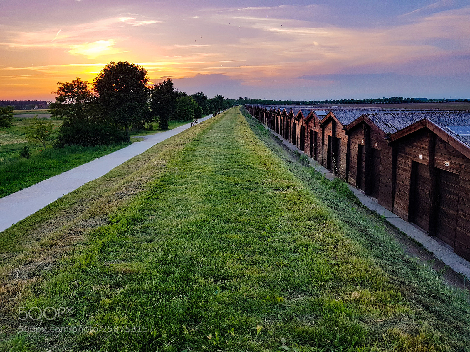 Samsung Galaxy S8 sample photo. Green path photography