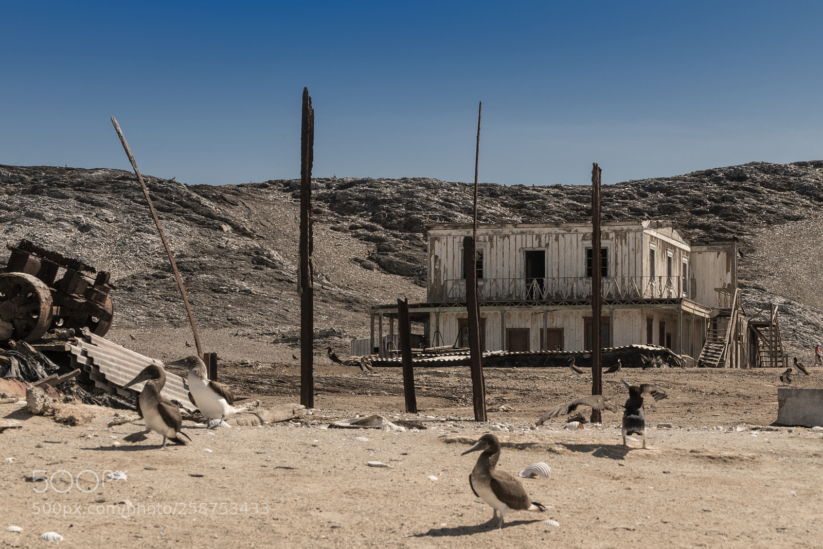Sony a7R II sample photo. Isla lobos de tierra photography