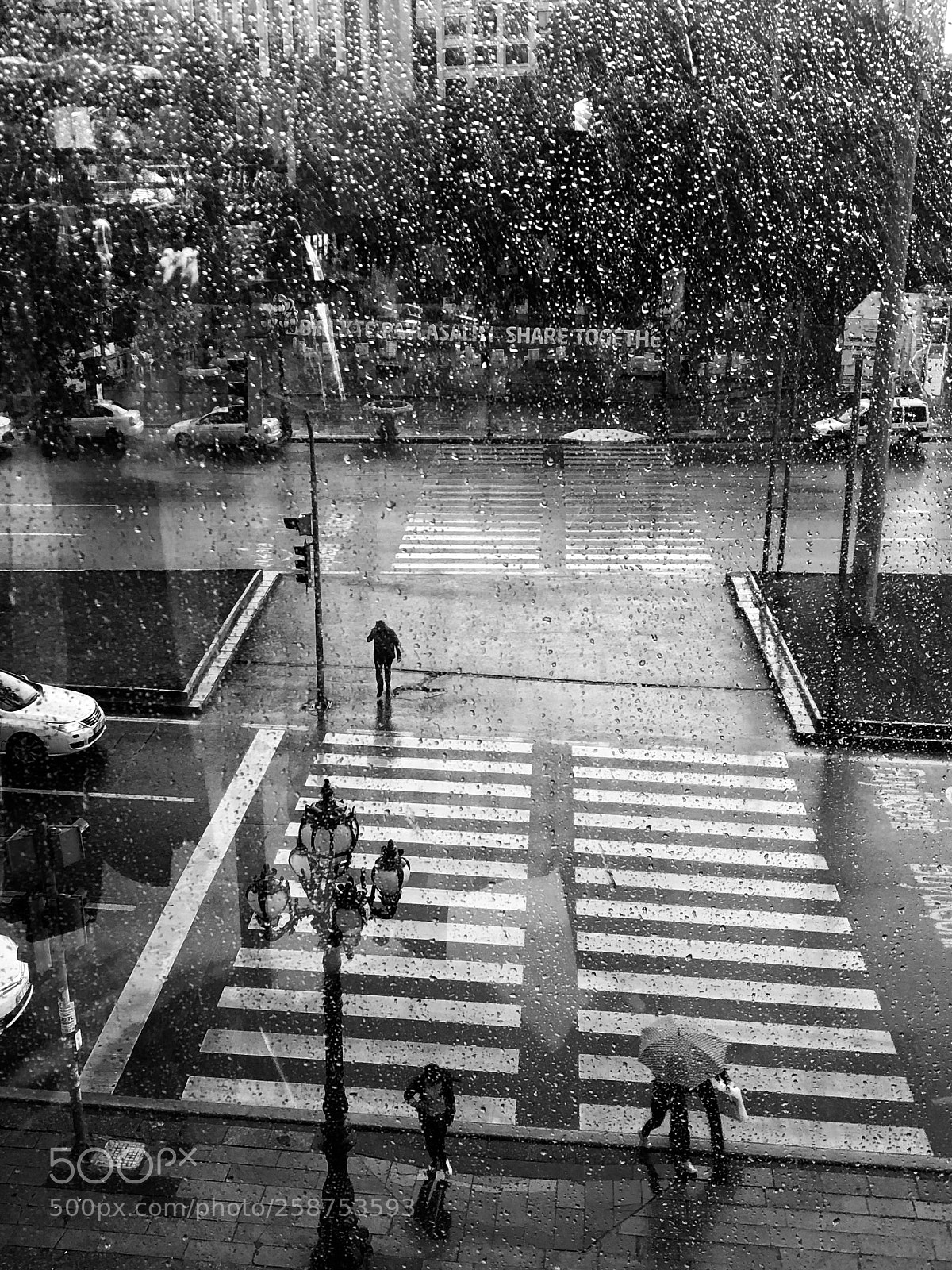 Apple iPhone X sample photo. Rainy day photography