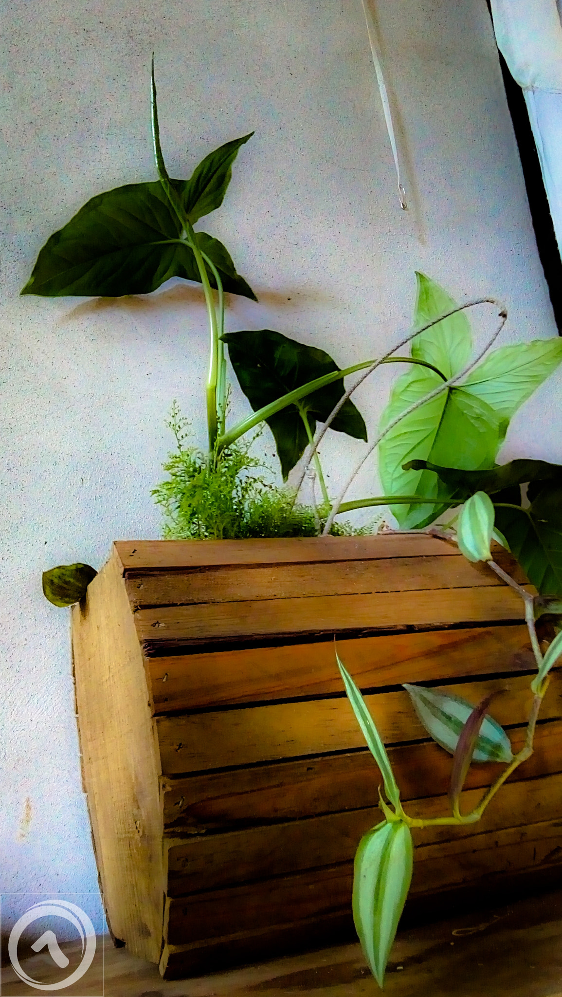 Motorola Moto E4 sample photo. Foto robada photography