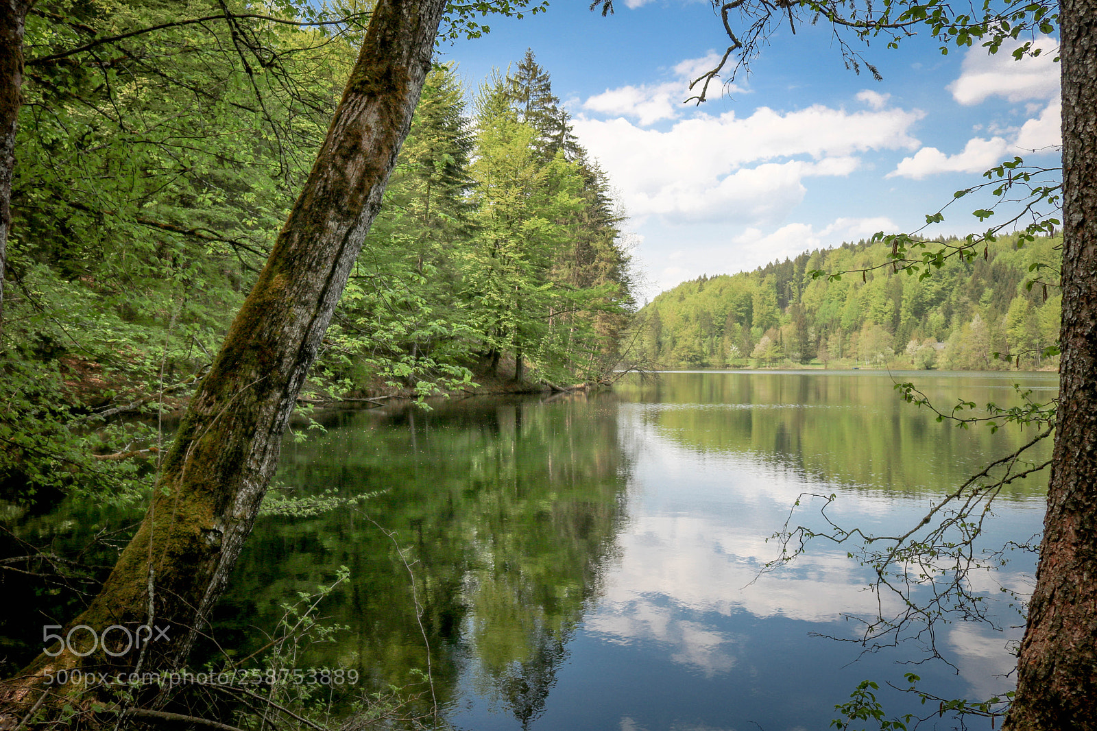 Canon EOS 750D (EOS Rebel T6i / EOS Kiss X8i) sample photo. Frühling am nussensee... photography