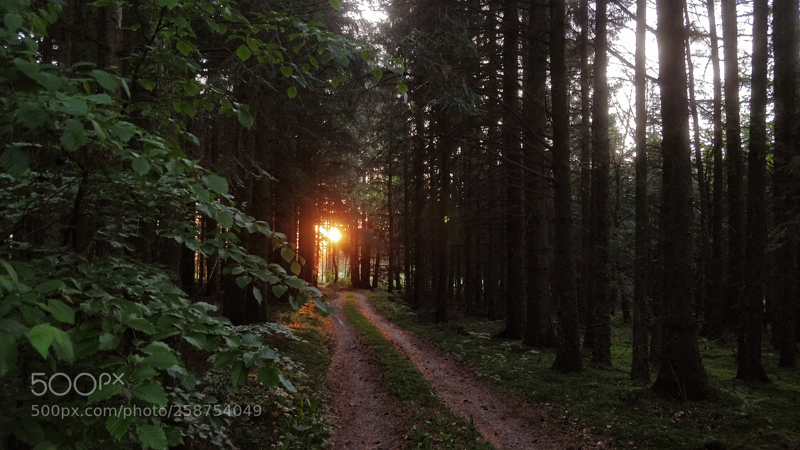 OnePlus 5 sample photo. Light at the end photography