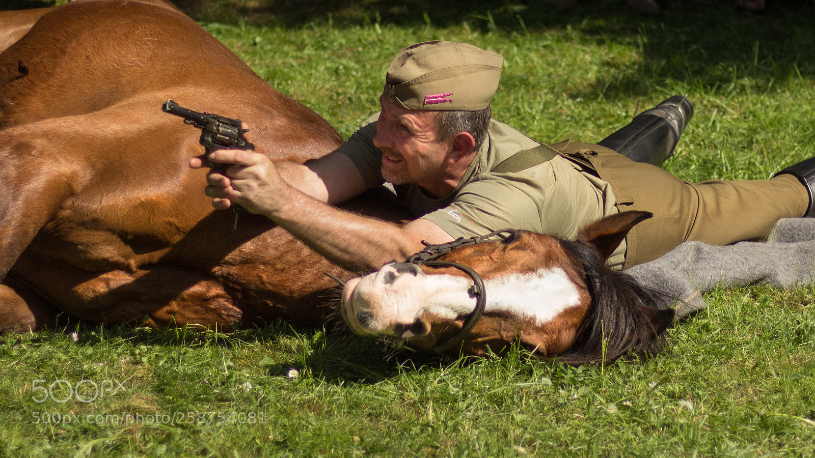 Canon EOS 600D (Rebel EOS T3i / EOS Kiss X5) sample photo. Behind the horse photography