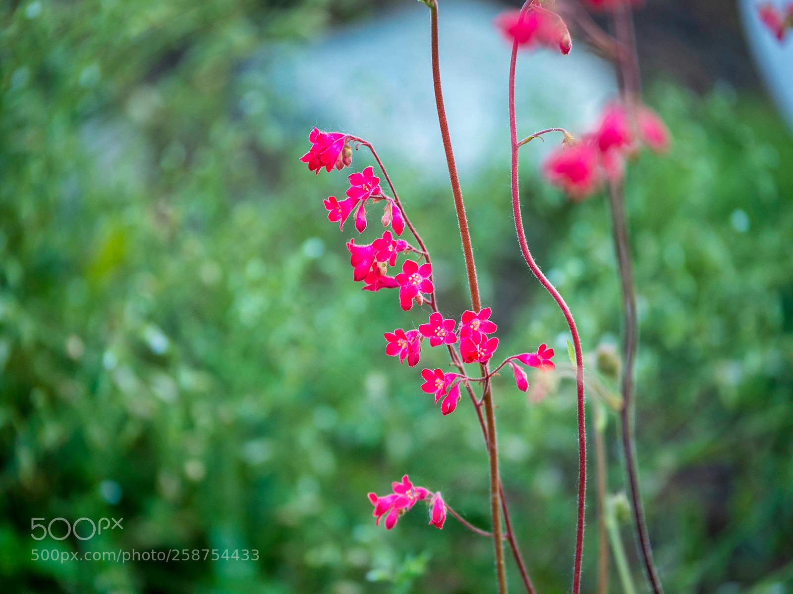 Panasonic Lumix DMC-GH4 sample photo. Neu photography