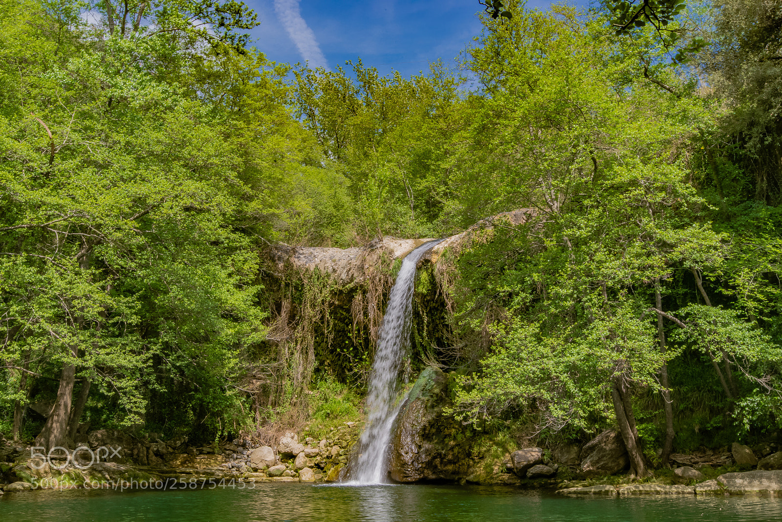 Nikon D610 sample photo. Gorg de santa margarida photography