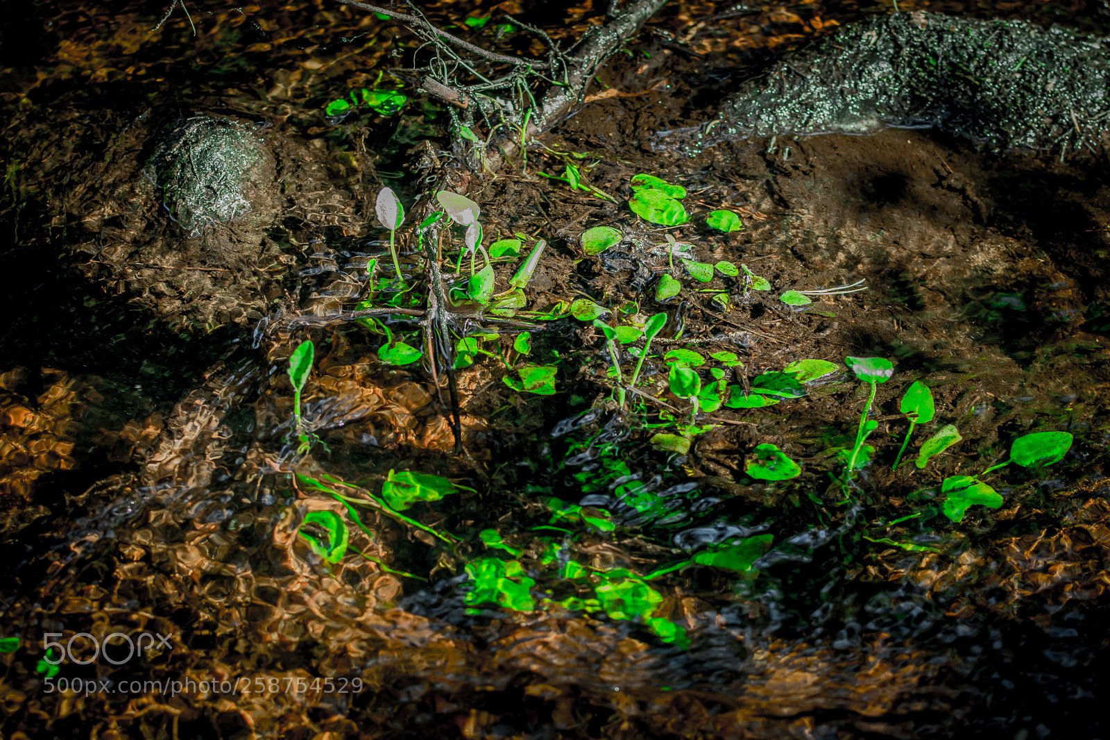 Nikon D5200 sample photo. Untitled photography