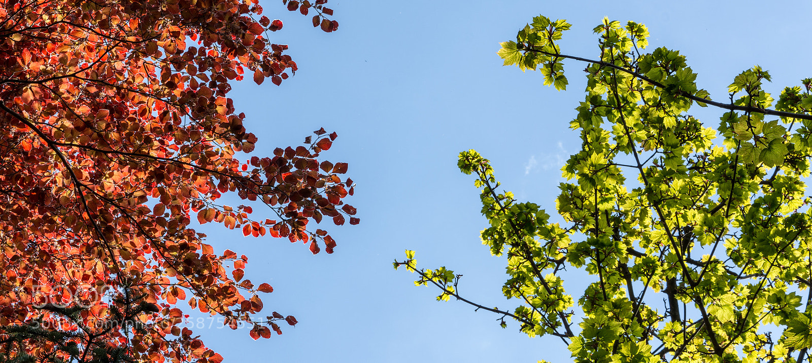 Nikon D7200 sample photo. Botanic gardens edinburgh photography