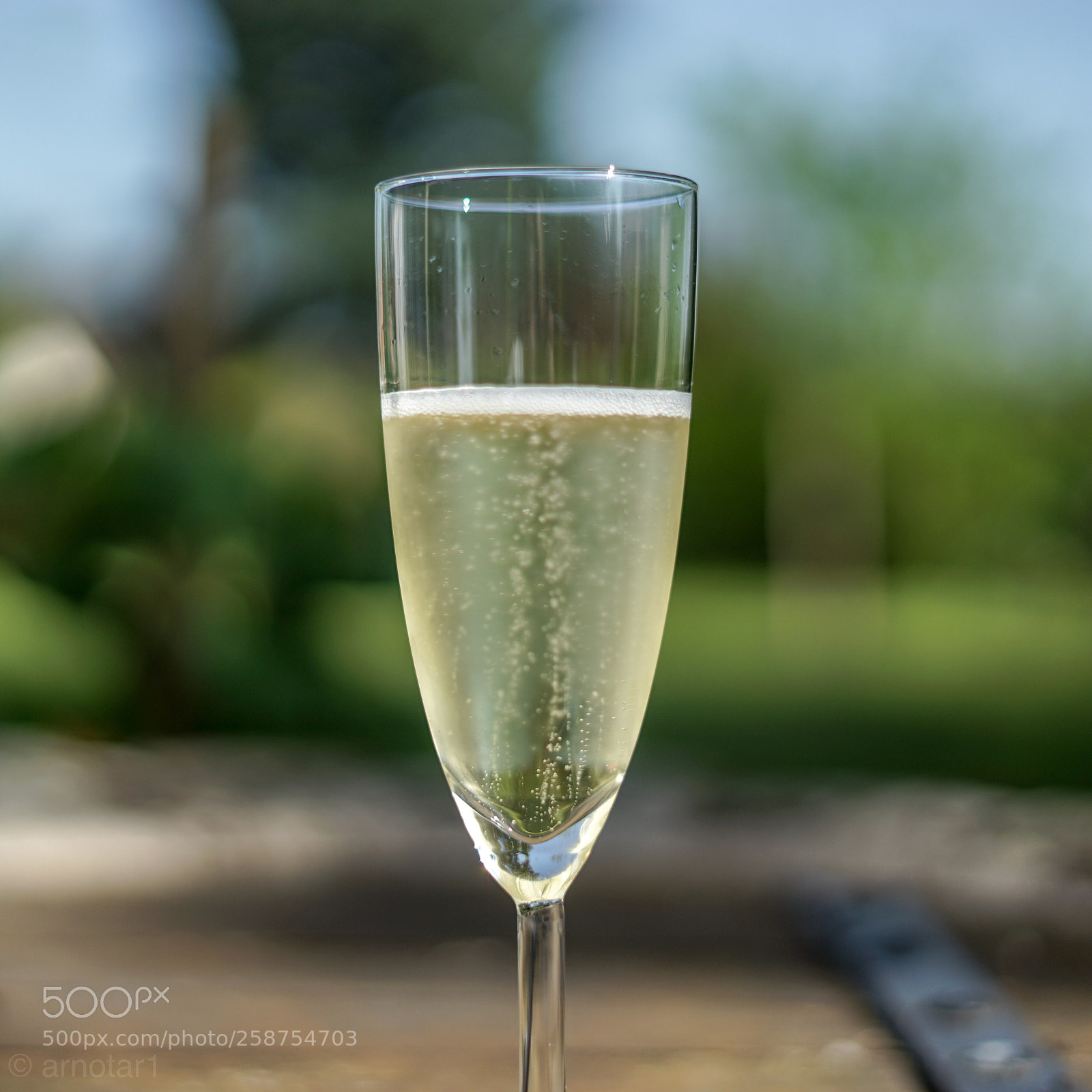 Sony a7 II sample photo. Just champagne  photography