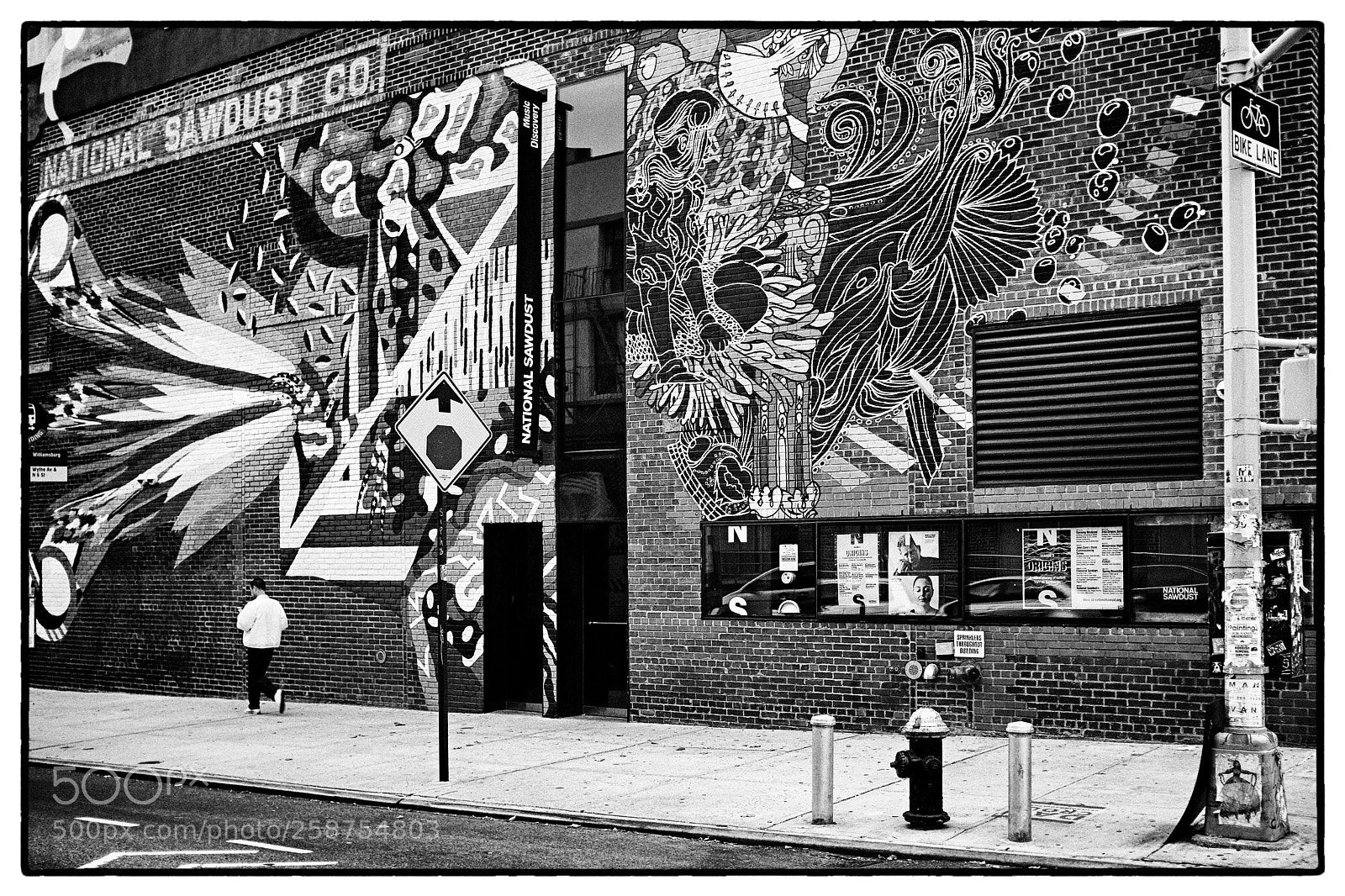 Fujifilm X100F sample photo. Brooklyn photography