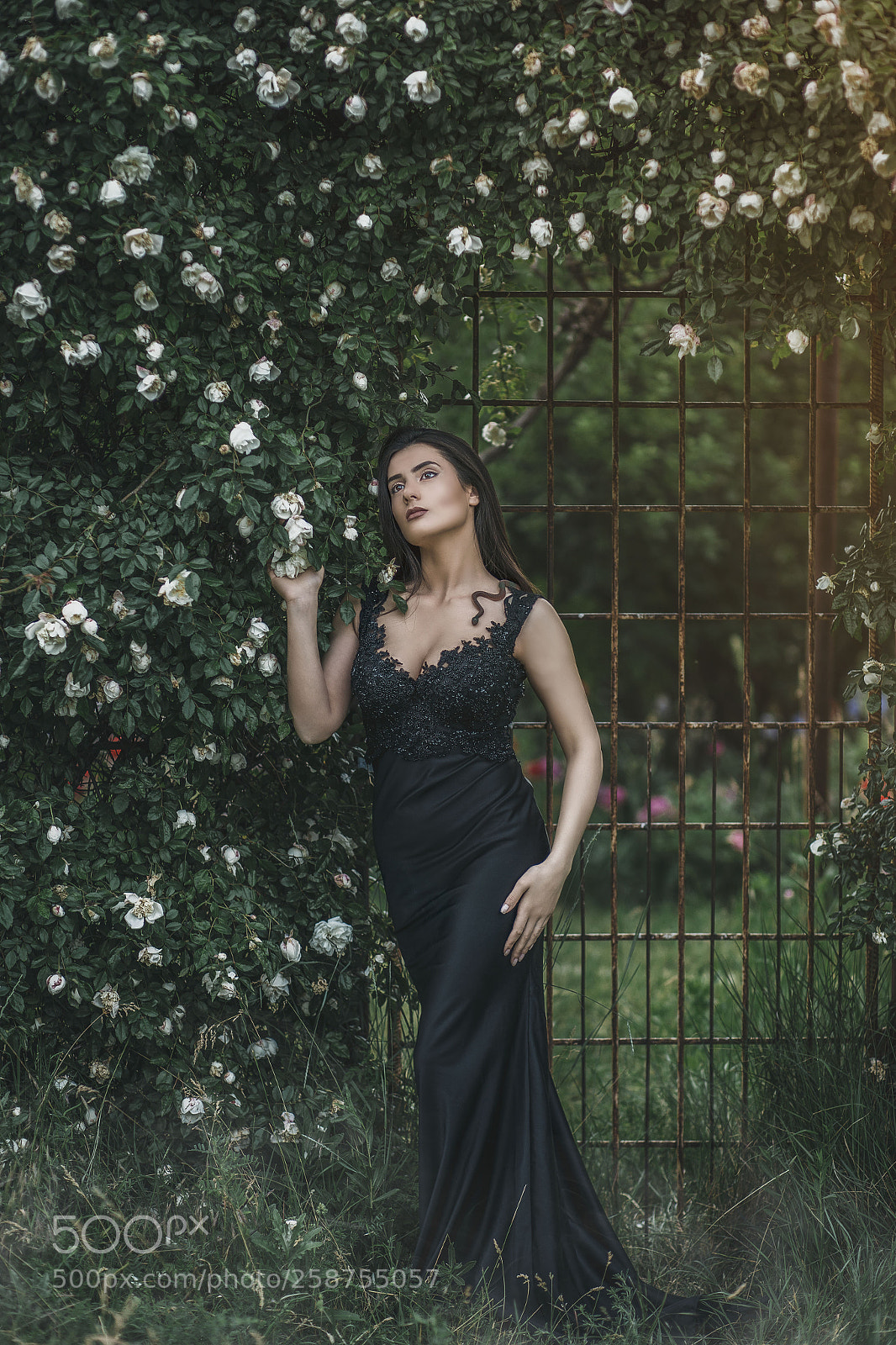 Canon EOS 6D sample photo. Salome photography