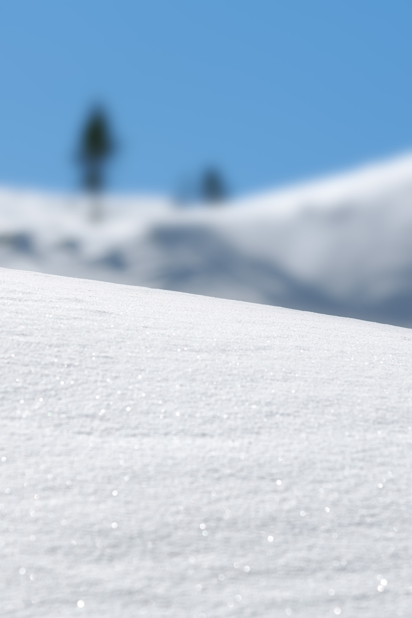 Sony 70-200mm F2.8 G sample photo. Snow, snow, snow photography