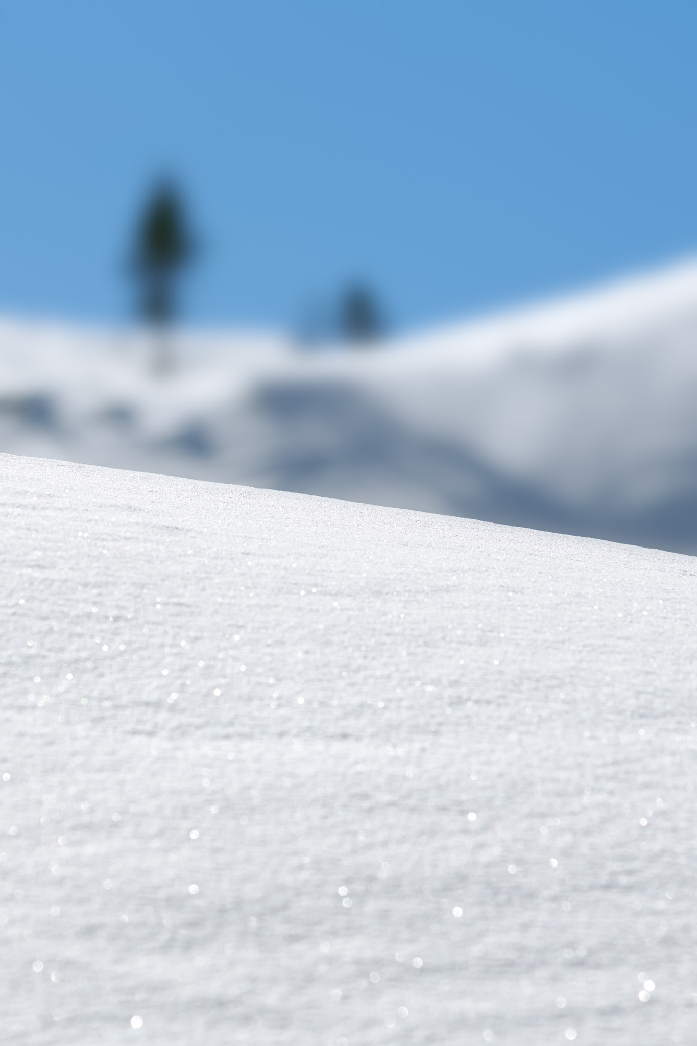 Sony a99 II + Sony 70-200mm F2.8 G sample photo. Snow, snow, snow photography